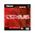 TIBHAR sinus